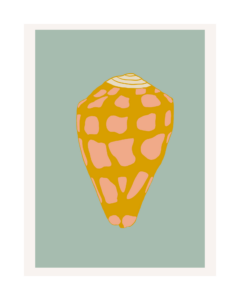 Hebrew Cone Shell Print Blue