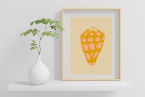 Hebrew Cone Shell Print Cream