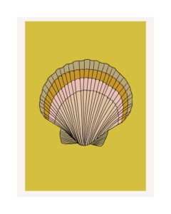 Sunrise Shell Yellow