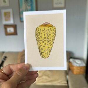 Spotted Cone Shell card