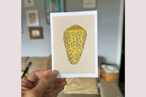 Spotted Cone Shell Cream background