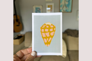 Hebrew Cone Shell Blue Background