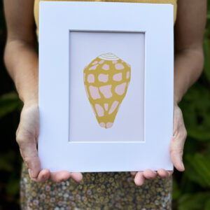 Hebrew Cone Shell Print Cream