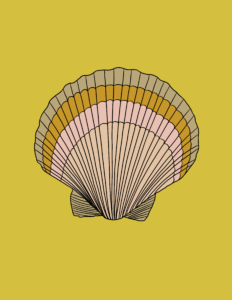 Sunrise Shell Yellow